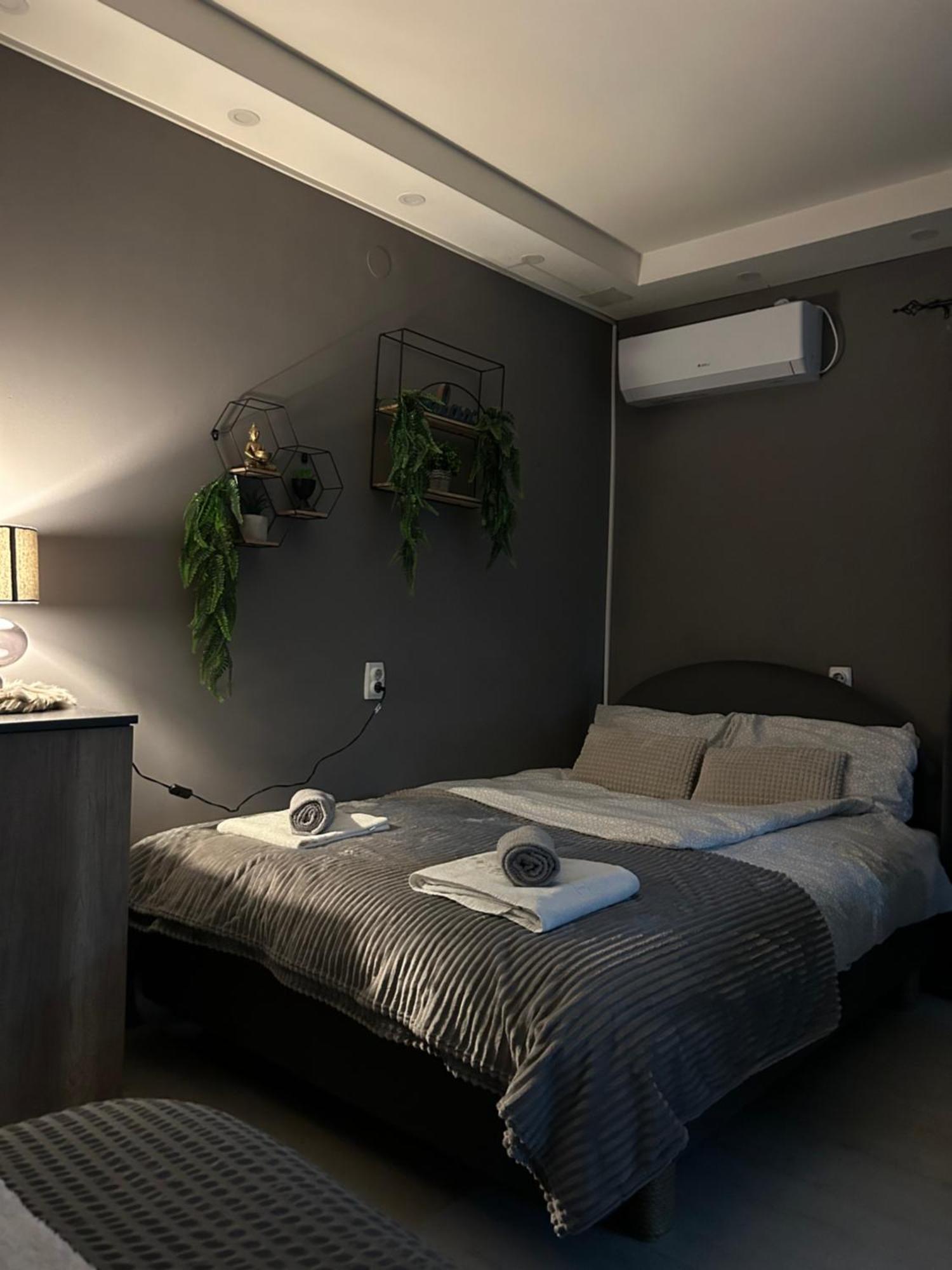 Beta House Apartments Zaječar Kültér fotó